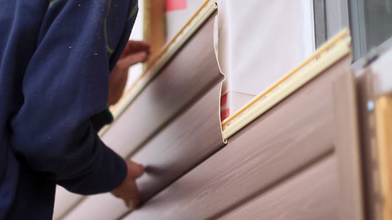 Best Shed Removal  in Itasca, IL